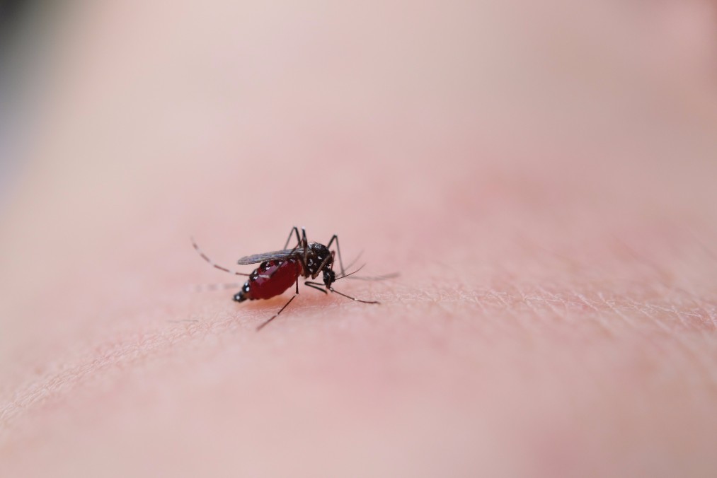 虫刺されで悩む方必見！蚊に刺されやすい5つの原因と予防法